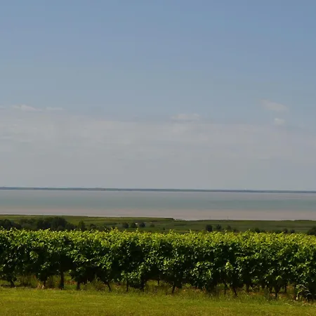 Le Du Petit Chenac Lejlighed *