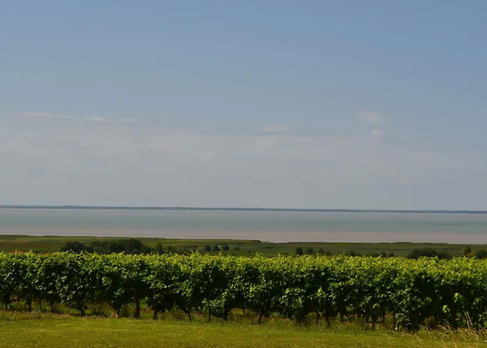 Le Du Petit Chenac Apartamento *