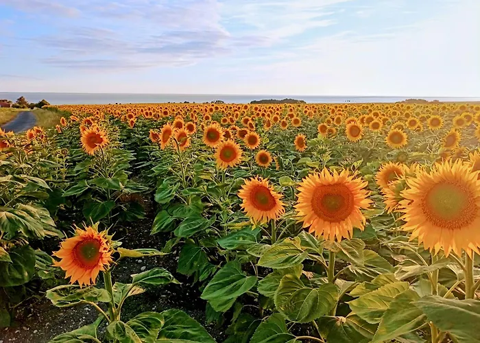 Le Du Petit Chenac Apartamento *